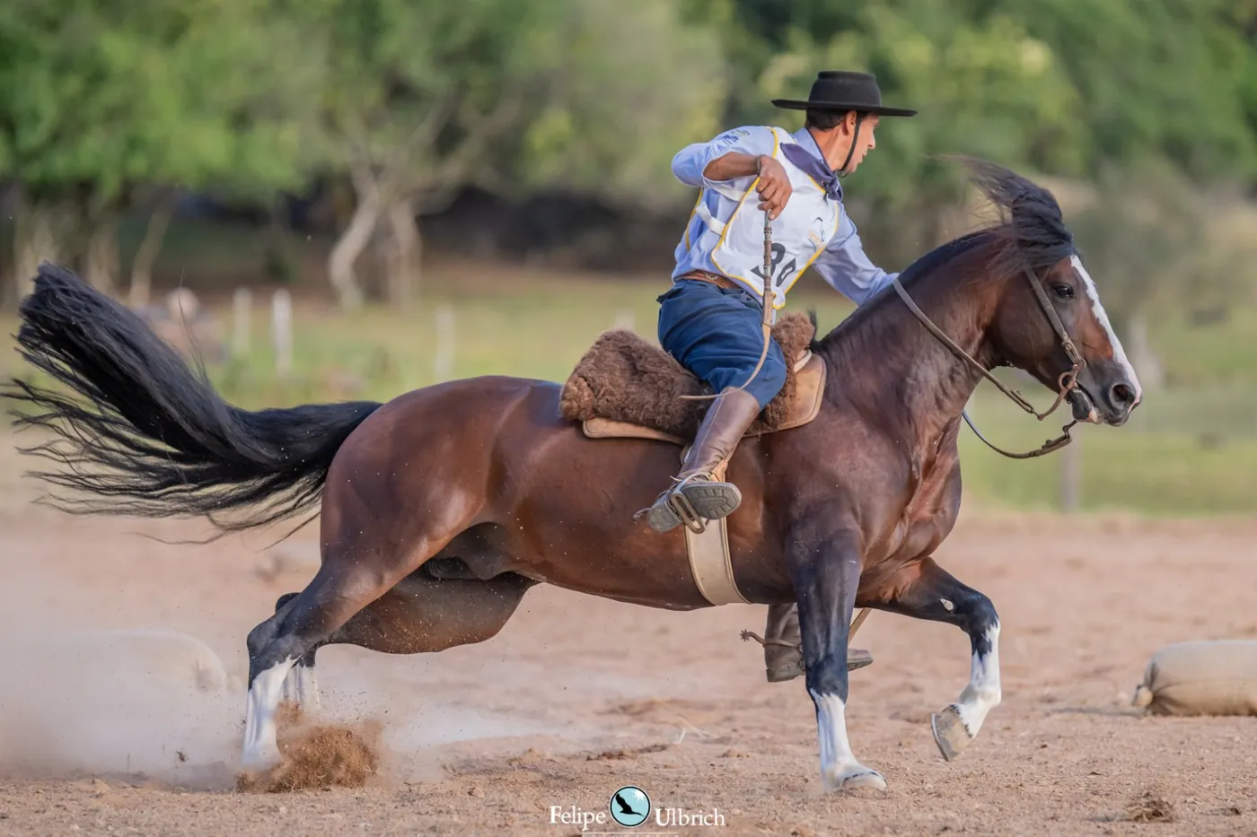 Anderson Nunes e o cavalo em curva fechada com a areia levantando