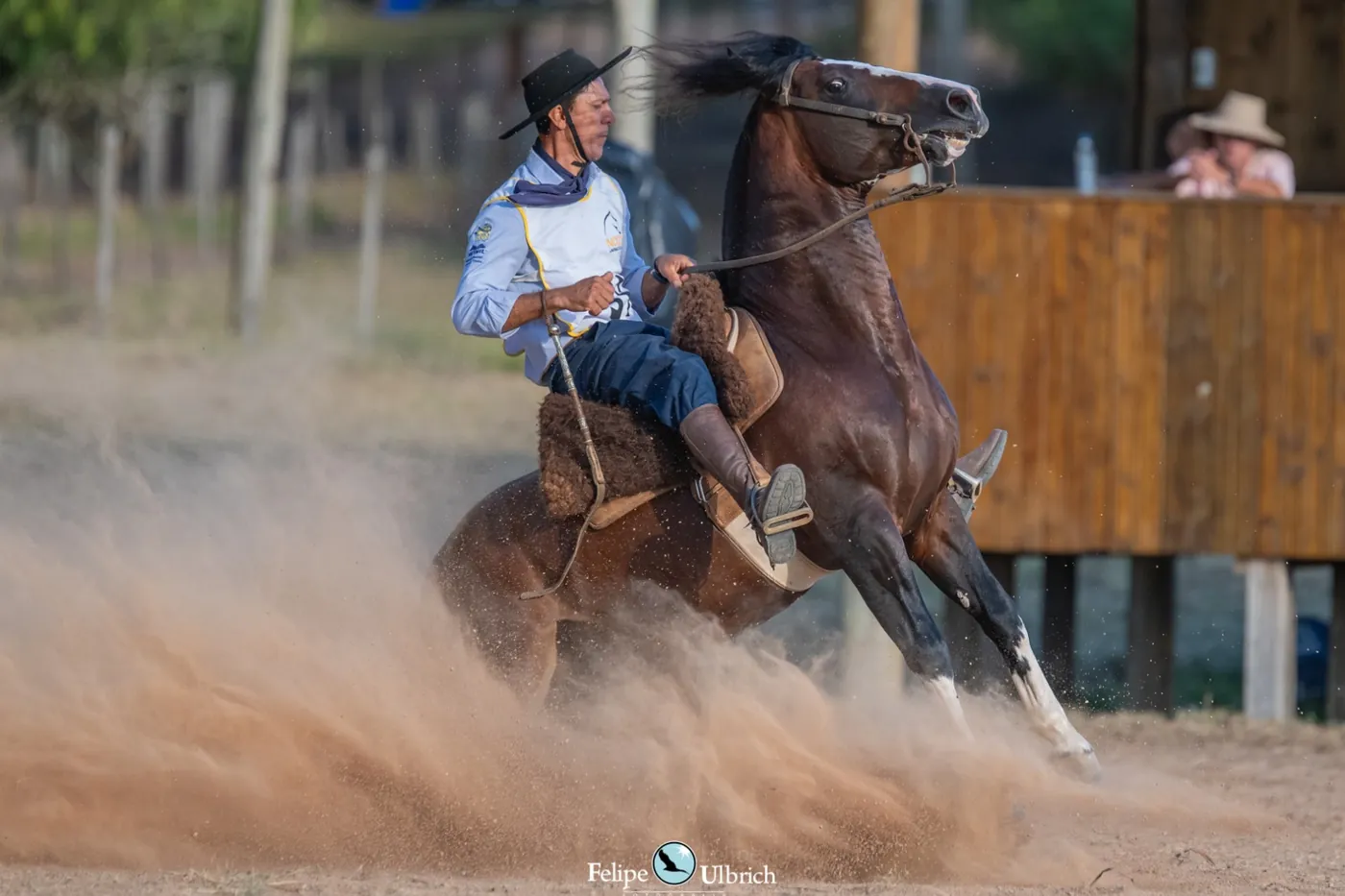 Cavalo se erguendo em meio à poeira durante o trabalho na pista